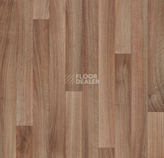 Линолеум Forbo Eternal Wood 10232 dark walnut фото 1 | FLOORDEALER